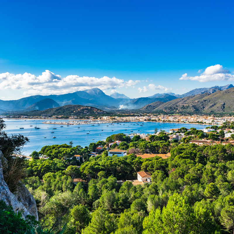 Pollenca
