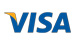 VISA Icon